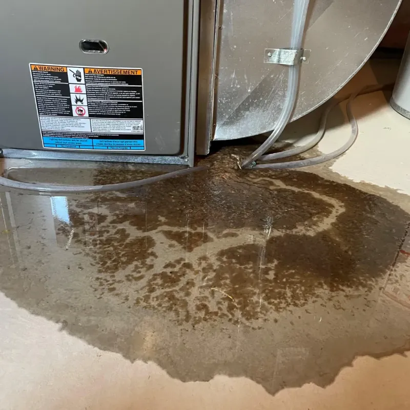 Appliance Leak Cleanup in Oak Grove, KY