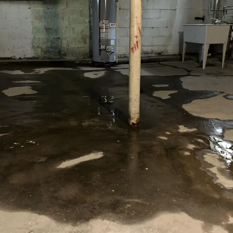 Emergency Water Extraction And Removal in Oak Grove, KY